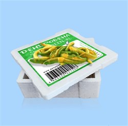 Червь дендробена XL GREEN 25гр* Коробочка пенопласт 33287