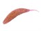 Слаги съедобные искусственные LJ Pro Series ULTRA WORM 1,4in (03.50)/S14 12шт. 34082