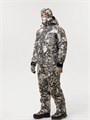 WILDFORSE APEX