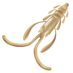 Приманка ZUB-NIMFA 45мм(1,8")-8шт, (цвет 303) телесный 32635