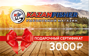 Подарочный Сертификат 3000р №8 29008
