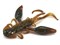 Твистеры съедобные LJ Pro Series ROCK CRAW 2.8in (07.20)/085 6шт. 25839 - фото 30594